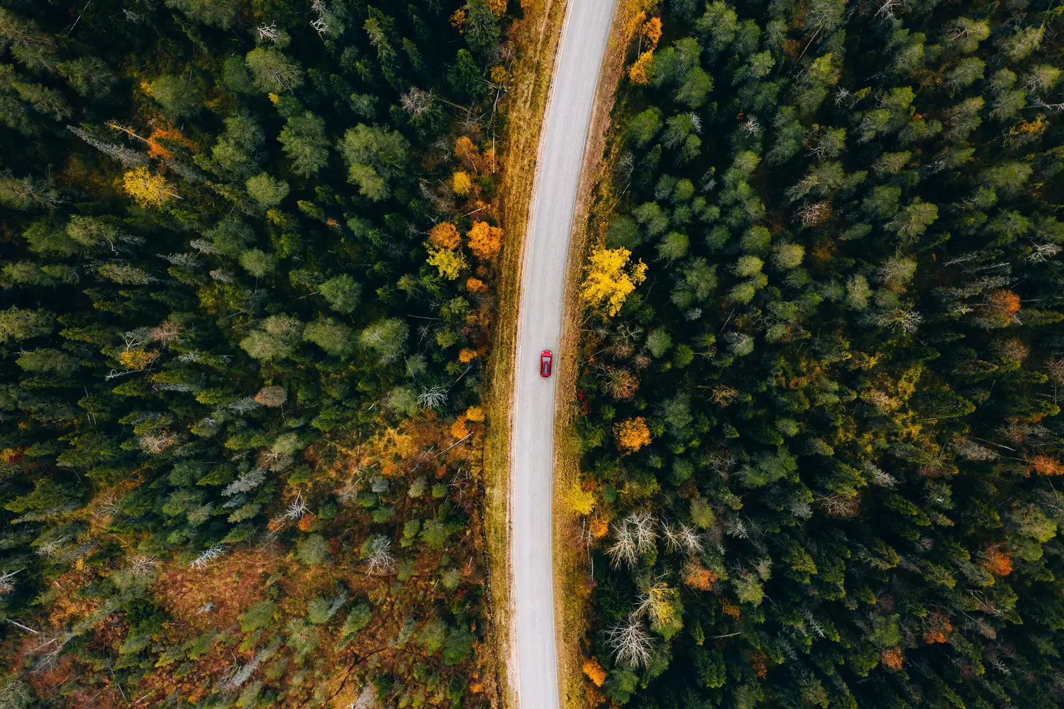 CAA_Driving_Drone_Canada.jpg